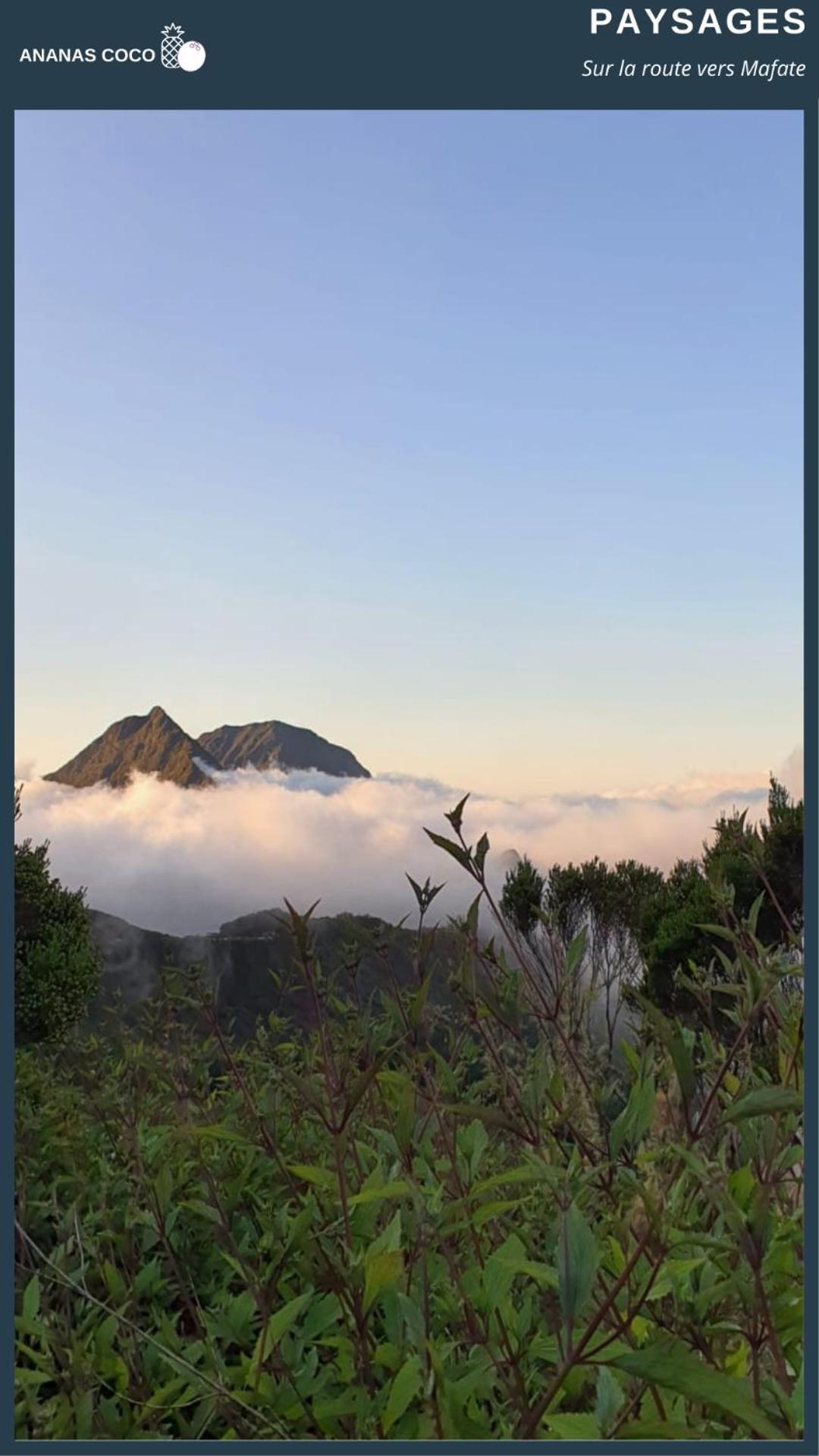 Ananas Coco Bed & Breakfast Salazie Luaran gambar